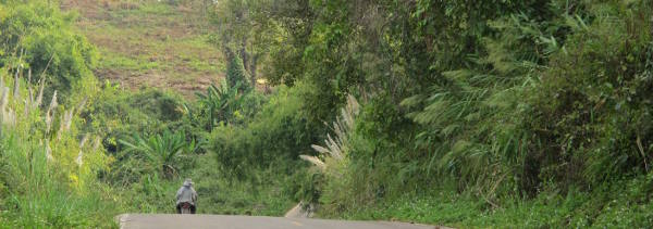 Images